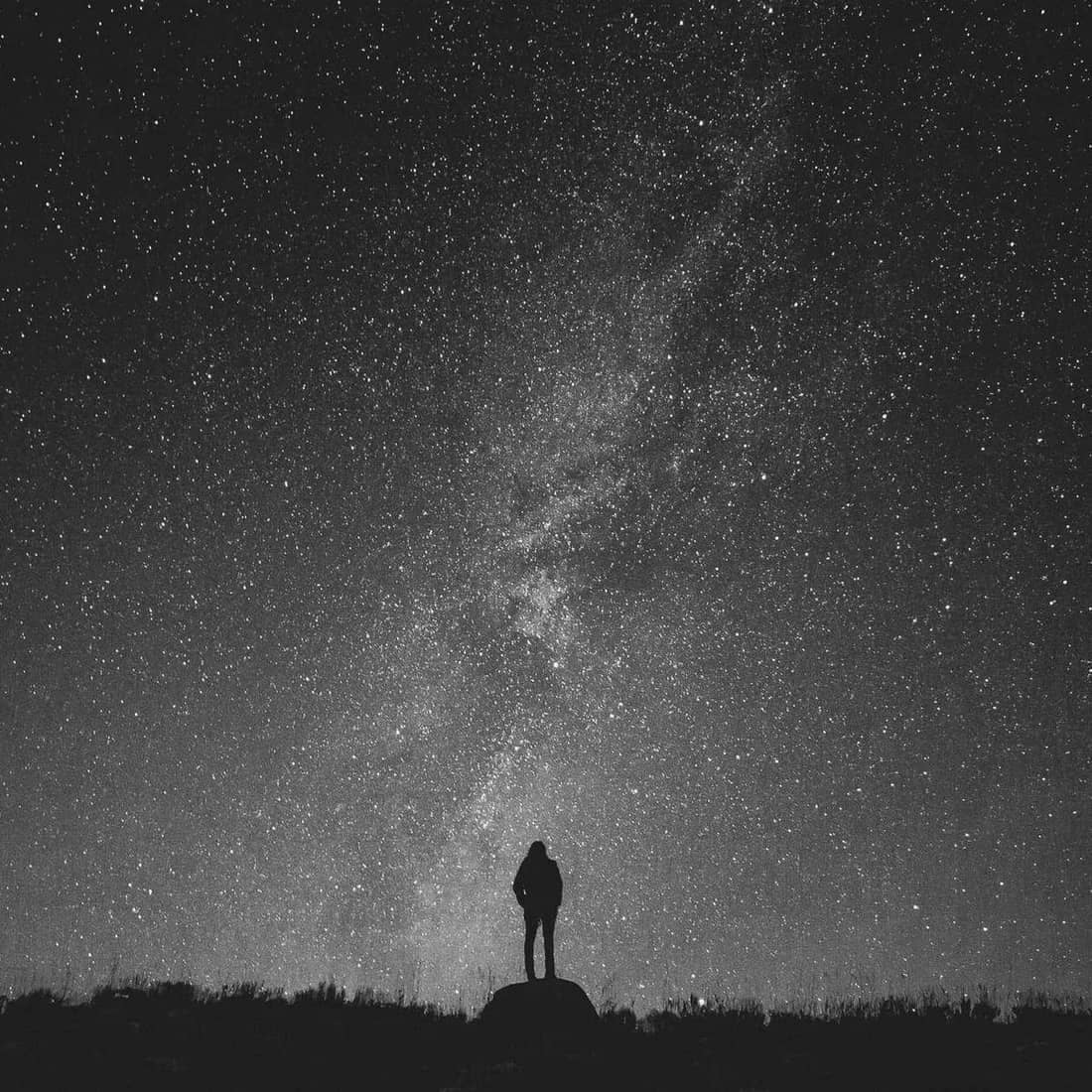 Kestane, Fintech MVP, iOS and web